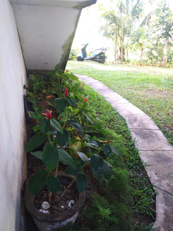 Field Island Villa - Ahangama Bagian luar foto