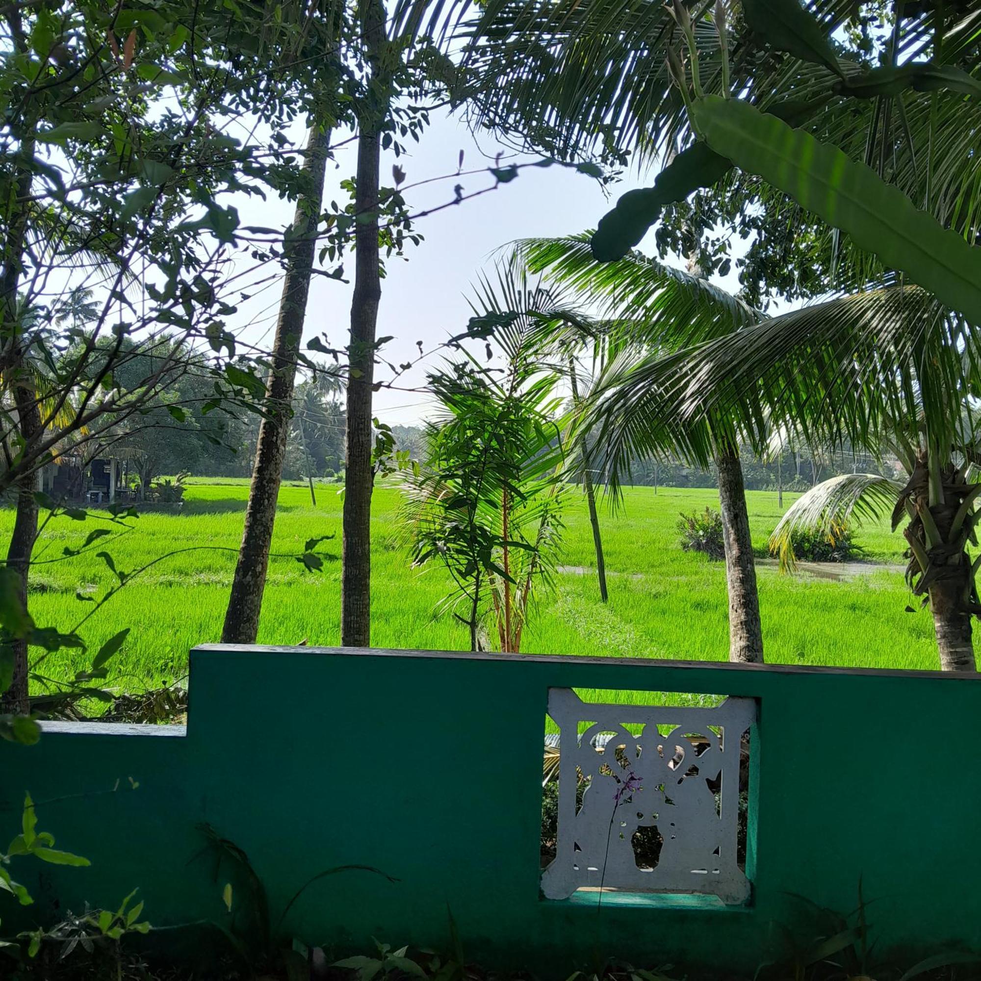 Field Island Villa - Ahangama Ruang foto