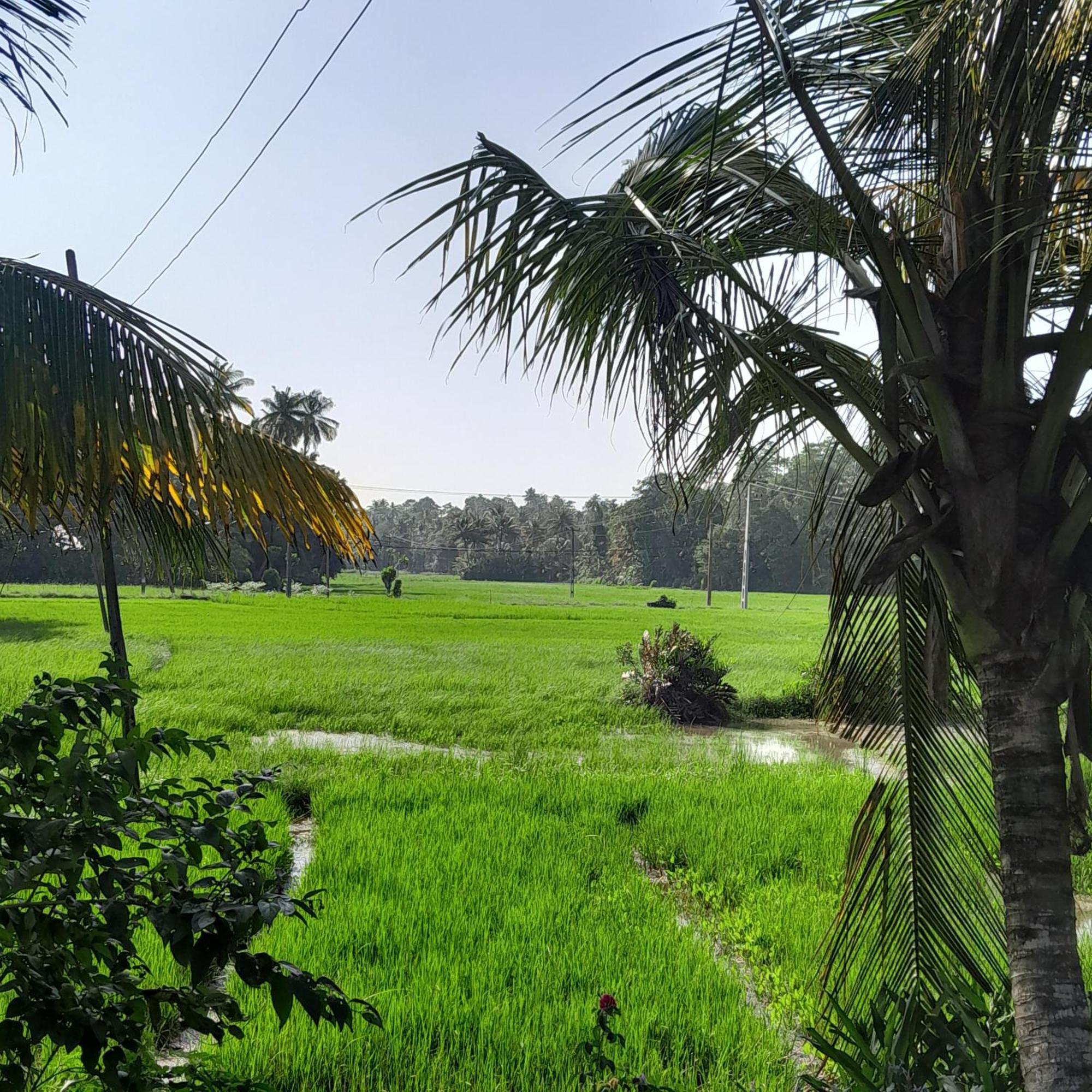 Field Island Villa - Ahangama Ruang foto