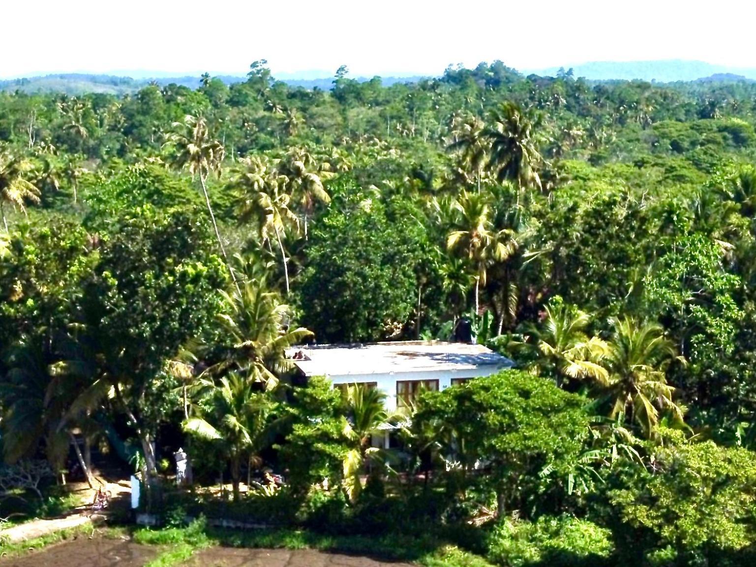 Field Island Villa - Ahangama Bagian luar foto