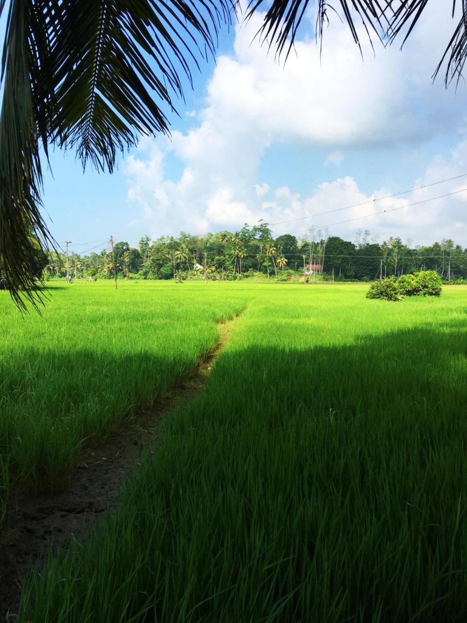 Field Island Villa - Ahangama Bagian luar foto