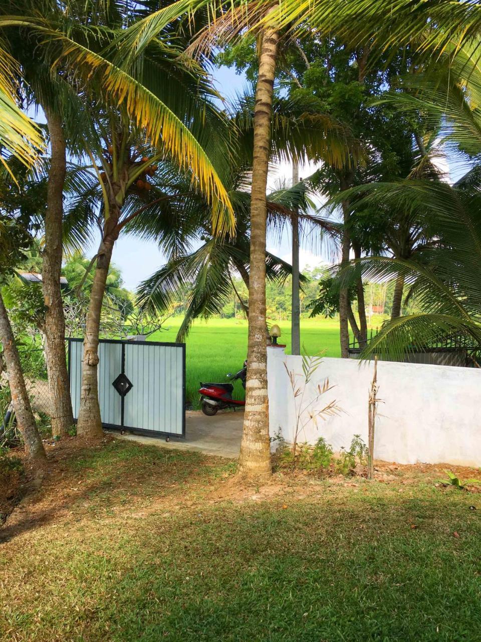 Field Island Villa - Ahangama Bagian luar foto