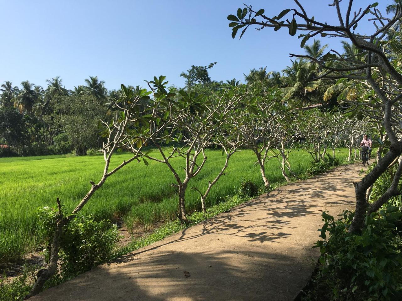 Field Island Villa - Ahangama Bagian luar foto