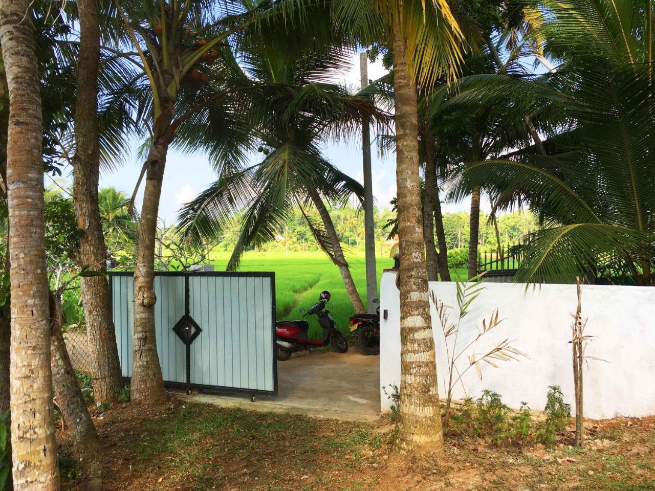 Field Island Villa - Ahangama Bagian luar foto